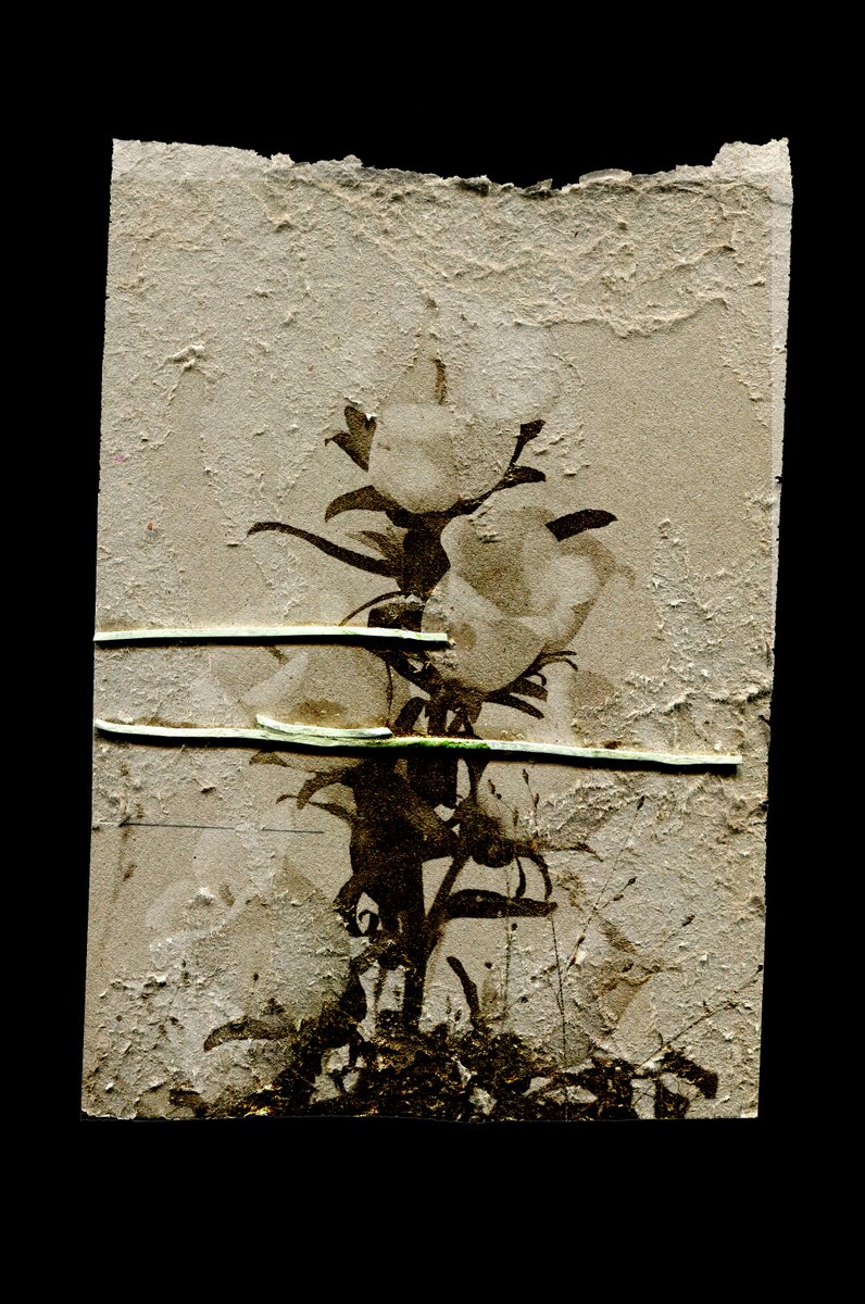 new drop 💫
experimental mixed media 

'forgotten'
15 ed. | 1 #XTZ 
objkt.com/asset/hicetnun…
teia.art/objkt/736924

#objktcom #CleanNFT #nftphotography #photez #NFTcollection #NFTCommmunity #hicetnunc #teia #tezos #tezosnft <a href="/cleannftunion/">Clean NFT Union</a> <a href="/objktcom/">objkt</a>