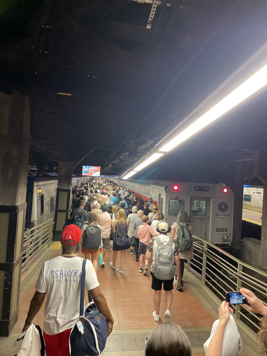 Notario News tweet media