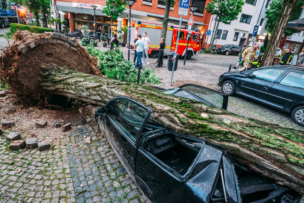 BerlinVic's tweet photo. Nicht mehr lang bis zum steuerfinanzierten #Tankrabatt! Dann können wir endlich wieder günstig über die #Autobahn rasen… falls der #Klimawandel nicht schneller ist

Danke #FDP für soviel #Dummheit, Kurzsichtigkeit + #Parteispender-Hörigkeit

#Tempolimit für Klimawandel
#Wissing https://t.co/COLdUbJqj4