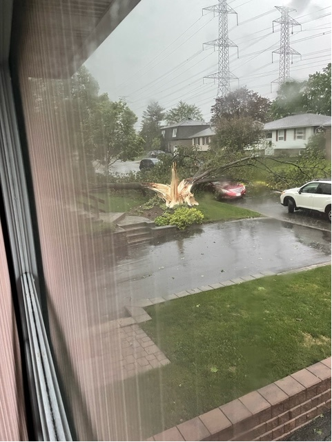 bvanderhyden's tweet photo. Big tree down on Southmore Drive West.  Scary, but driver of the red car was rescued and is OK. https://t.co/kDYVLv2AL1