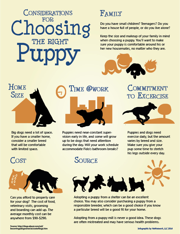 MarleyStandard's tweet photo. Make sure you have the proper resources before getting a new puppy! #39canimals https://t.co/I3MCSO3CZc