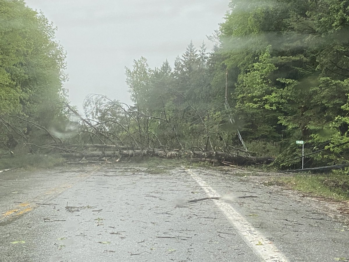 redbudmary's tweet photo. Many trees down in Chelsea Quebec from that wild storm that blew through this afternoon. Had to detour twice to make it home. This tree is blocking Hwy 105 near La Vallee restaurant. #quebecstorm https://t.co/6l5RlhEXI6