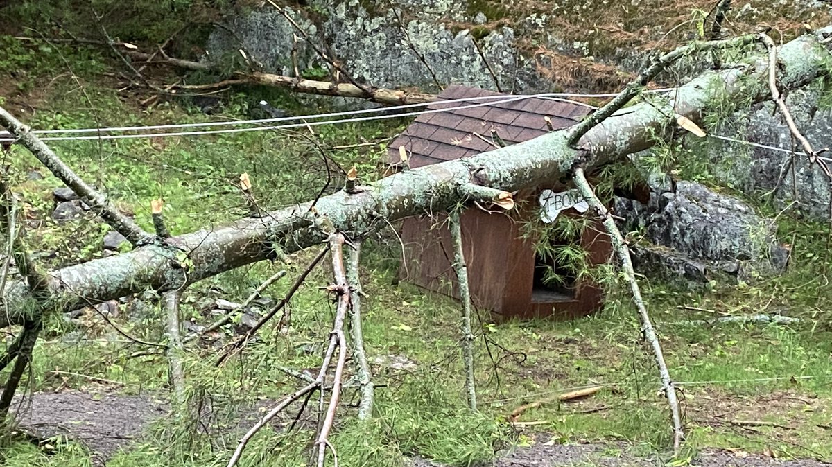 Sparkplug1124's tweet photo. @StormhunterTWN possible tornado in Cloyne Bon Echo? https://t.co/5CGAgvx7Mc