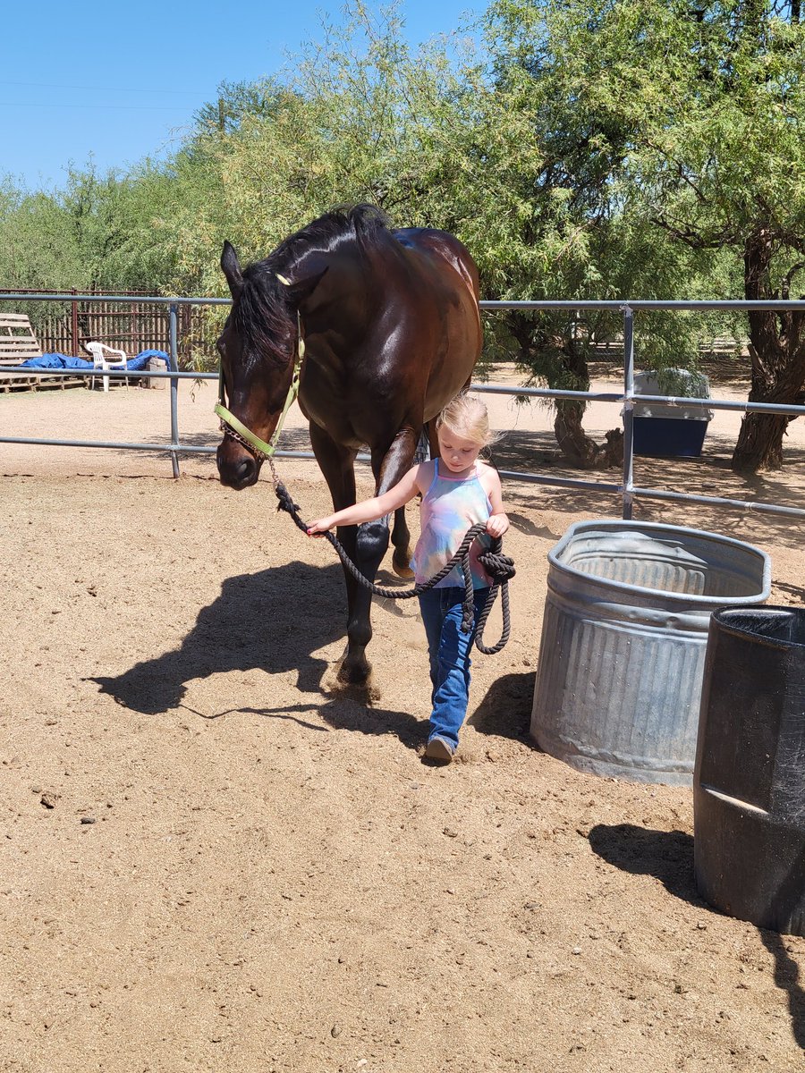 stephanie_herb's tweet photo. The best little hand there is 🥰 
#mommasmini #ottb #TempleKeys #PrincessNatalie https://t.co/d2KXB1tFVt