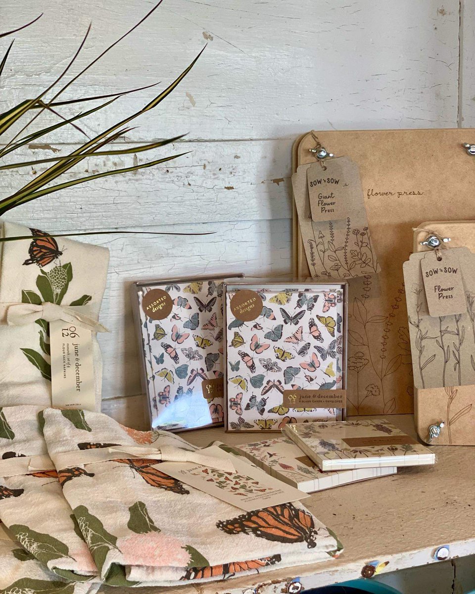 TXPlantGuy's tweet photo. If you haven't been here's a sneak peek inside the 1220's farmhouse @Rootedin_TX nursery! Open today until 6p and Sunday 11-5p! #visitpilotpoint #RootedInPlants #RootedInDesign #RootedInCommunity https://t.co/BNBLFjBNBG