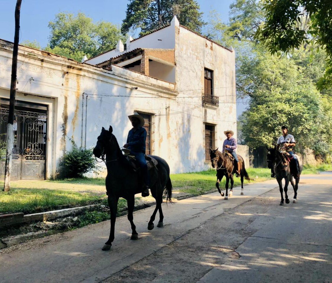 NachoBeltranG's tweet photo. Mañana de #Cabalgata por una de las rutas emblemáticas de #VillaGuerrero, la Calzada de Mexicapa con su imponente Exhacienda y los hermosos paisajes de Paso Hondo, resaltan la grandeza de nuestra tierra. 🐎💐 https://t.co/GGUztXbviN