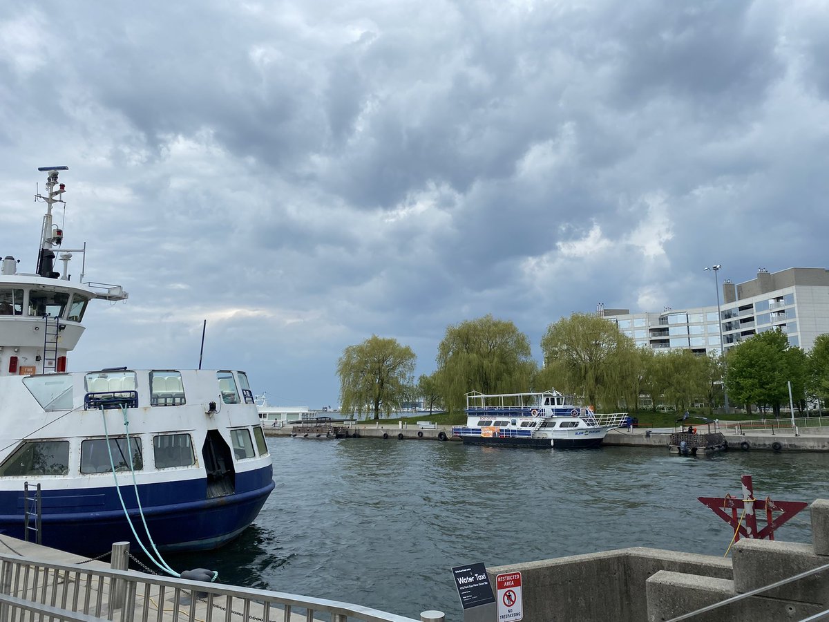 #Toronto
Severe thunderstorm heading our way
🤷🏼‍♀️⛈🌩