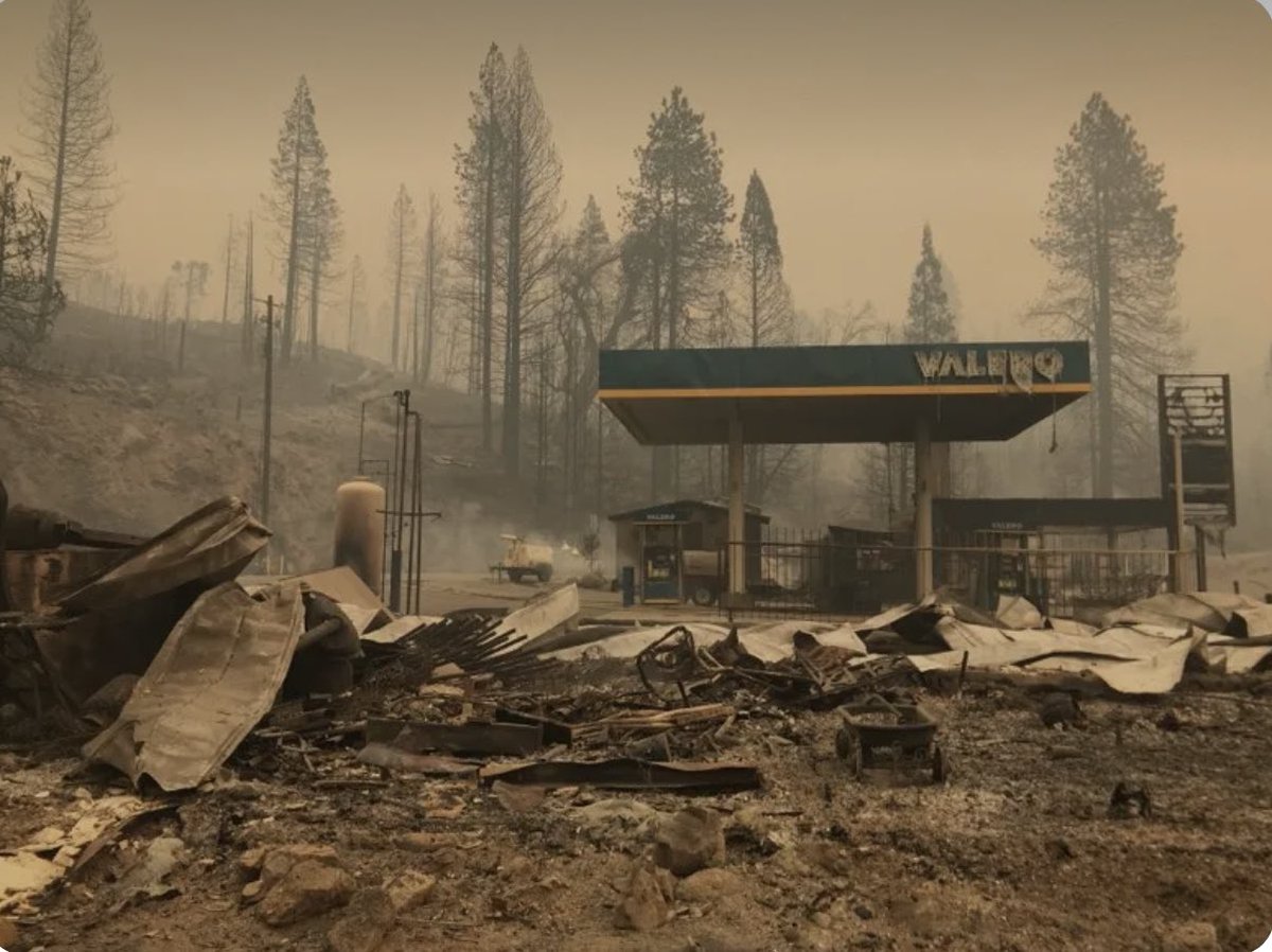 Hummingbird Warriors tweet media