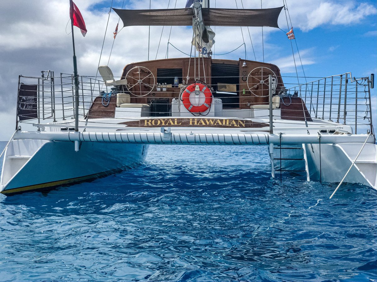 olacharters's tweet image. Drumroll please…. Beyond stoked to announce the one and only Royal Hawaiian Catameran to the Ola Ohana #Hawaii #sail #catamaran #aloha
