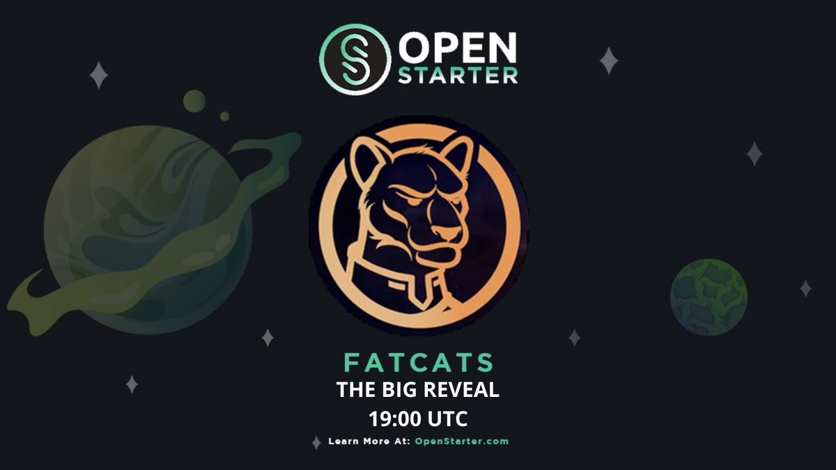 🎉 The <a href="/FatCatsDao/">Fat Cats</a> big reveal is going down at 19:00 UTC!!!

😻 We want to see what everyone got. Be sure to tweet your new #NFTs and tag <a href="/OpenStarterNFT/">OpenStarter | NFT Launchpad</a>. 

🔗 opensea.io/collection/fat…

$BUIDL #NFTCommunities #NFTDrops @StarterXyz