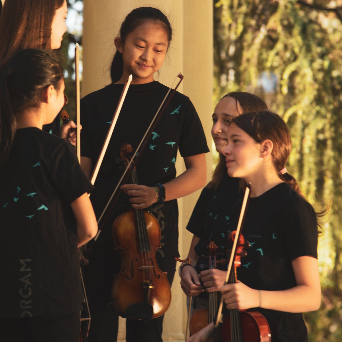 📢 ¡Atención! Pruebas de admisión para la Joven Camerata de la <a href="/jorcam_/">JORCAM</a>.
La Joven Camerata abre el proceso de selección para cubrir plazas. Puedes encontrar toda la información y bases en: bit.ly/AdmisionJovenC….
¡El plazo permanecerá abierto hasta el día 15 de junio!