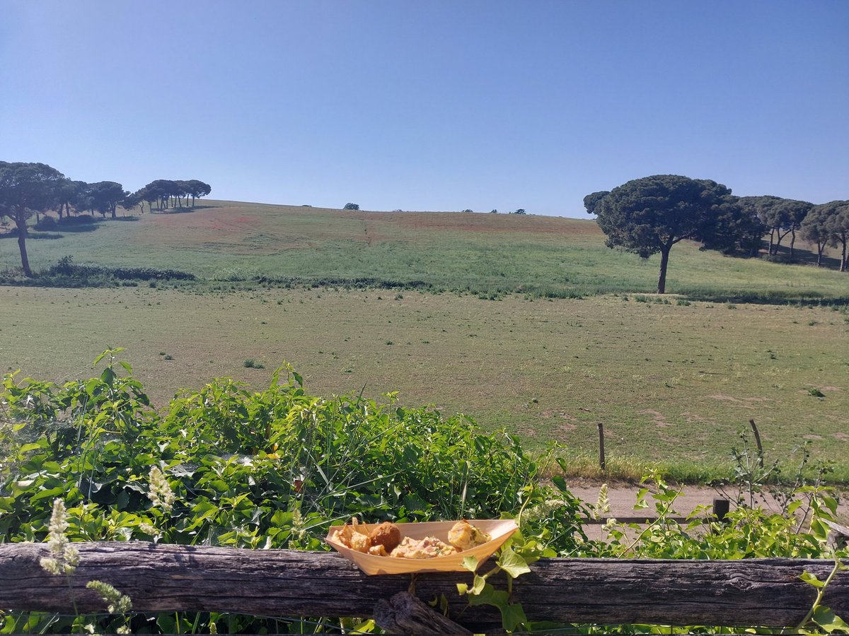 attebasi's tweet photo. Interesting debate "Bites of Transfoodmation" today at beautiful Casali del Pino w/ Andrea Magarini (@FoodPolicyMi) and Fabio Bonanno (@Roma) invited by the Permanent Mission of Swizerland to the @UN w/ the Embassy. @Fusilli_project didn't miss the event! #foodsystemchange https://t.co/pBNOM3Tiey