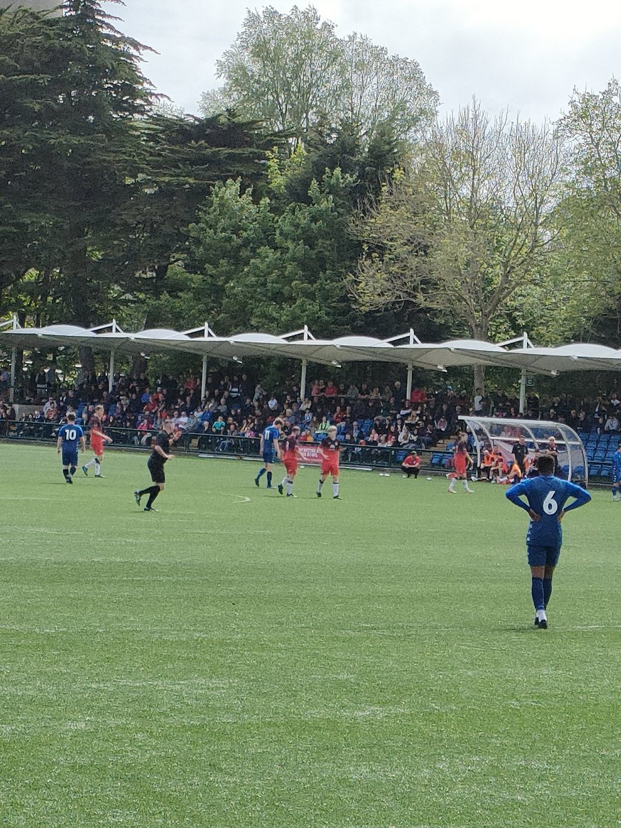 tompondorosa tweet media