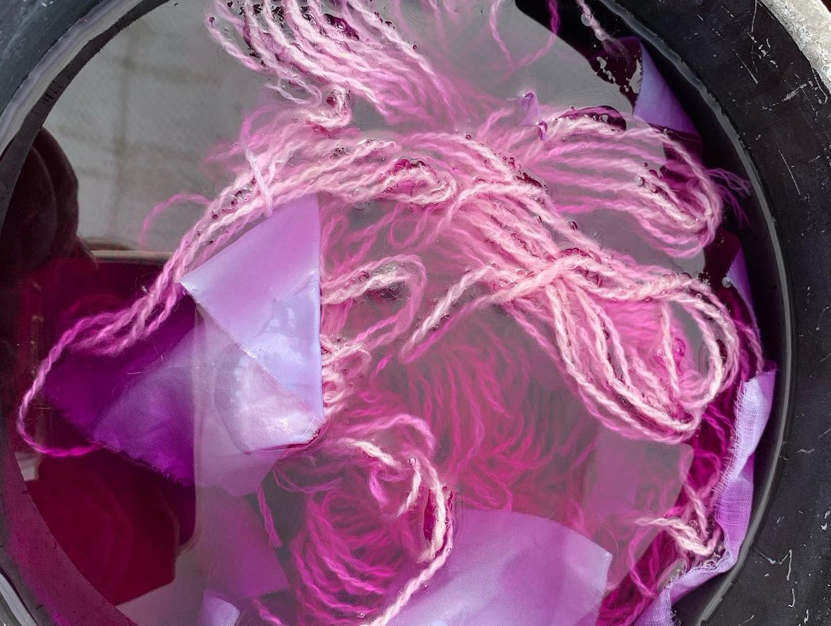 Stannescityfarm's tweet photo. Thank you @georgia_makes_shapes for another wonderful natural dyeing workshop! Keep an eye out for more classes this Summer. #cityfarm #community #naturaldye #flowers #biodiversityireland #bioweek https://t.co/CebOdaIY4e