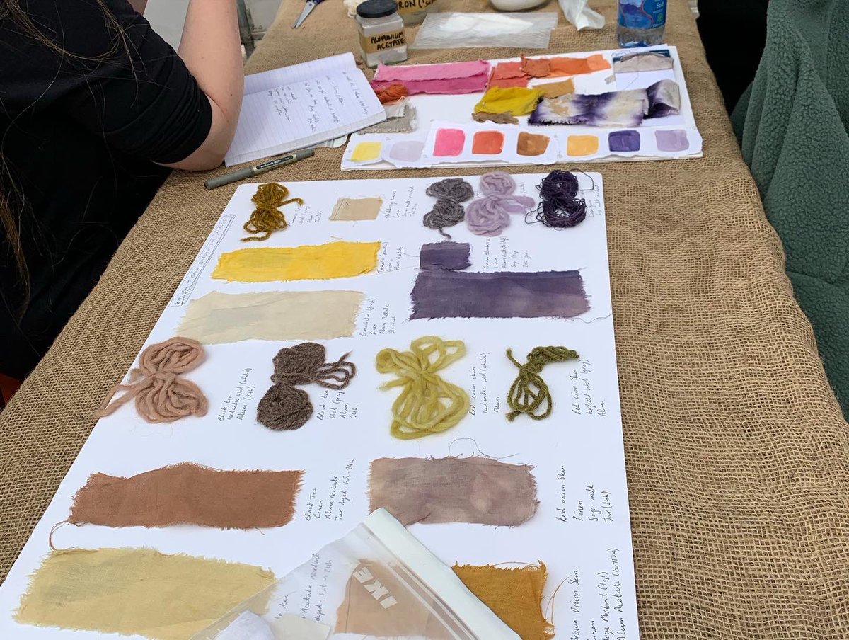 Stannescityfarm's tweet photo. Thank you @georgia_makes_shapes for another wonderful natural dyeing workshop! Keep an eye out for more classes this Summer. #cityfarm #community #naturaldye #flowers #biodiversityireland #bioweek https://t.co/CebOdaIY4e