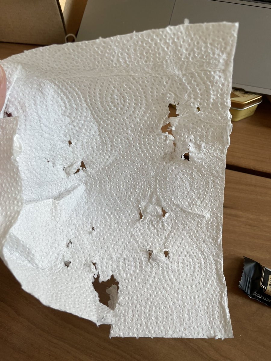 jorrton's tweet photo. desde que tengo gato uso exclusivamente este modelo de servilletas https://t.co/hjcaQP4MEZ
