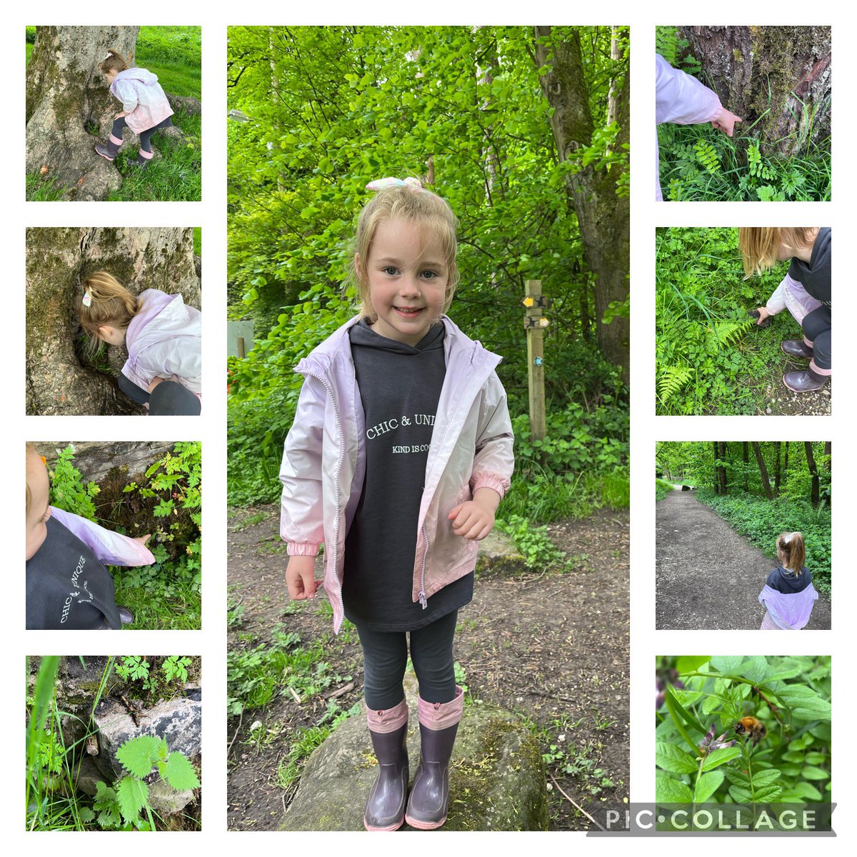 slbamber's tweet photo. Minibeast hunt homework 🐝🕷🐌 @PeelParkClass2 @PeelParkEYFS https://t.co/5sDSwhlJEI