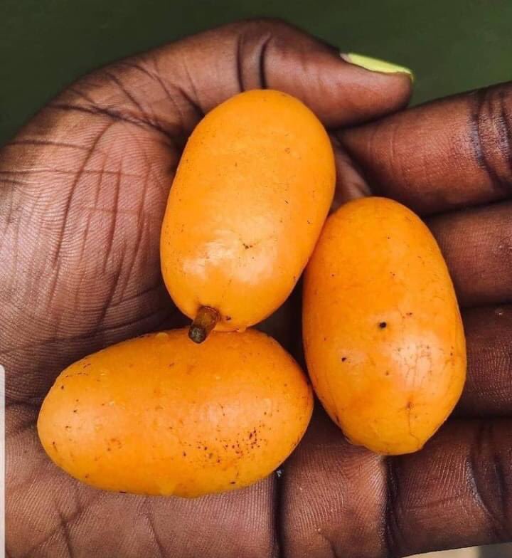 Midounou1's tweet photo. Les amis, comment appelle-t-on ce fruit en kabyè? 

#TgTwittos 
Pic from @ewepride https://t.co/cYIVnvInC0