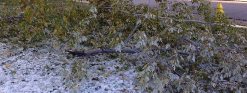 cityofarvada's tweet photo. Last night's snow caused extensive damage to trees across the city. We are addressing safety issues on roadways/ trails first. We will then provide information on tree limb drop-off sites. For updated information, visit https://t.co/NYK37TuDxF https://t.co/5gwjLYcino