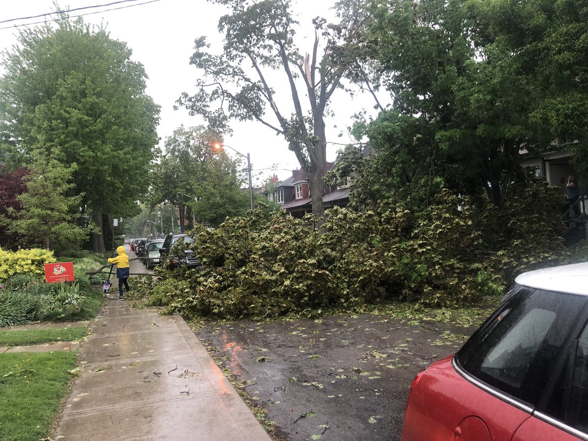 FriendlyLawyer's tweet photo. Holy sheeet, what was that?! Say, @311Toronto I know you’re really busy all of a sudden - I’m getting a busy signal! - but there’s a tree down on Garden Avenue between Roncy & Sorauren #Toronto #Instastorm #DLWS https://t.co/GFnGoZkghM