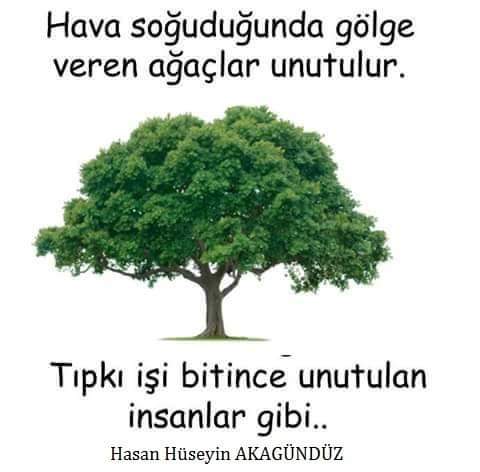 H.Hüseyin Akagündüz (@akagunduz32) on Twitter photo 