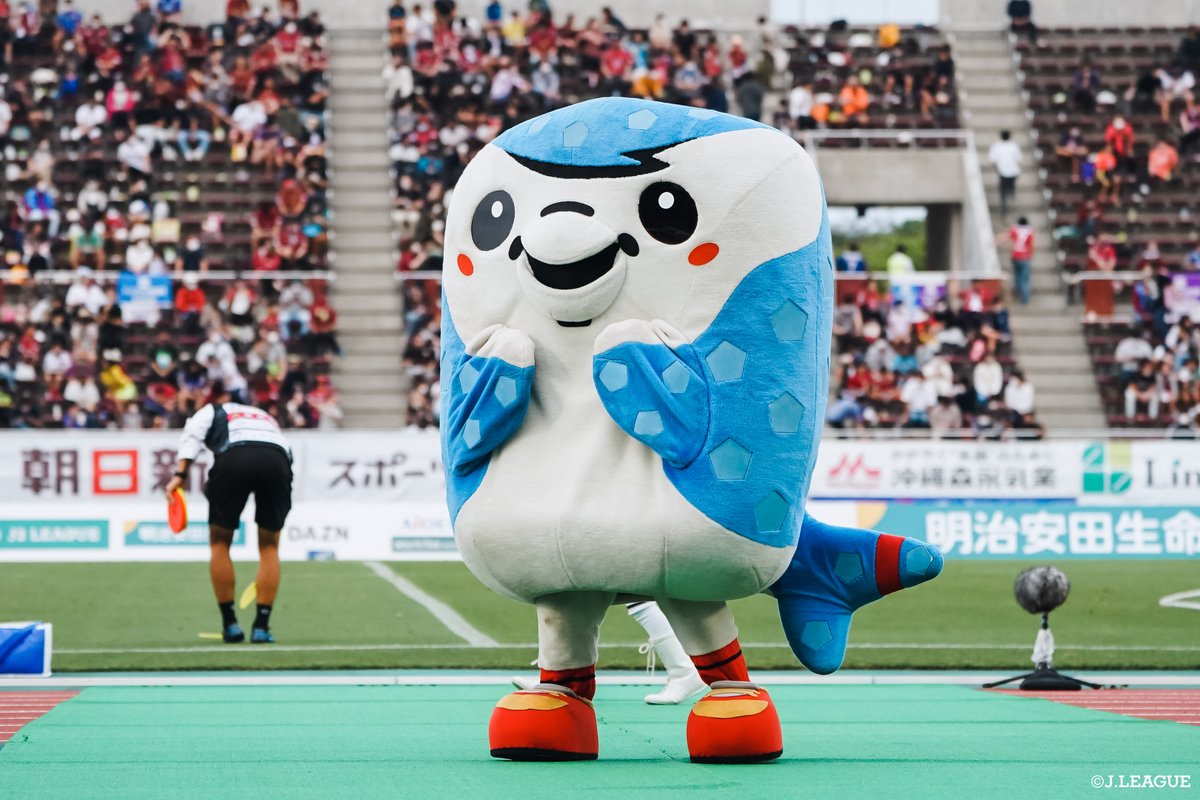 J_League's tweet photo. 今日は #国際生物多様性の日🐬🐥

Ｊリーグクラブのマスコットにも色んな「生物」がいます✨

みなさんの推しマスコットはどんな生物ですか🤣❓
リプライか引用リツイートで是非教えてください📝‼️

#Ｊリーグあいさつ https://t.co/2NSaS9xu4e