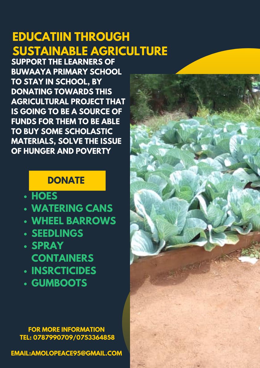 AmaraPeace13's tweet photo. Donate to reduce the number of learners being absent from school because they have been sent home to bring a pen or a book.
For more of this read 
https://t.co/3mVsGZJSIO https://t.co/NzS1w1aTTe
