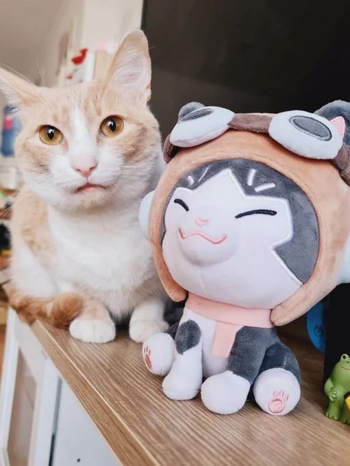 Okay let's do this
⭐ ART COMMISSION GIVEAWAY ⭐
Besides @AlpacaCarlesi , I will ALSO do a free half-body comm to a random winner IF the plushie campaign succeeds! 🙏
https://t.co/hrAAGNNf47
Here's some samples of what I'd do! 