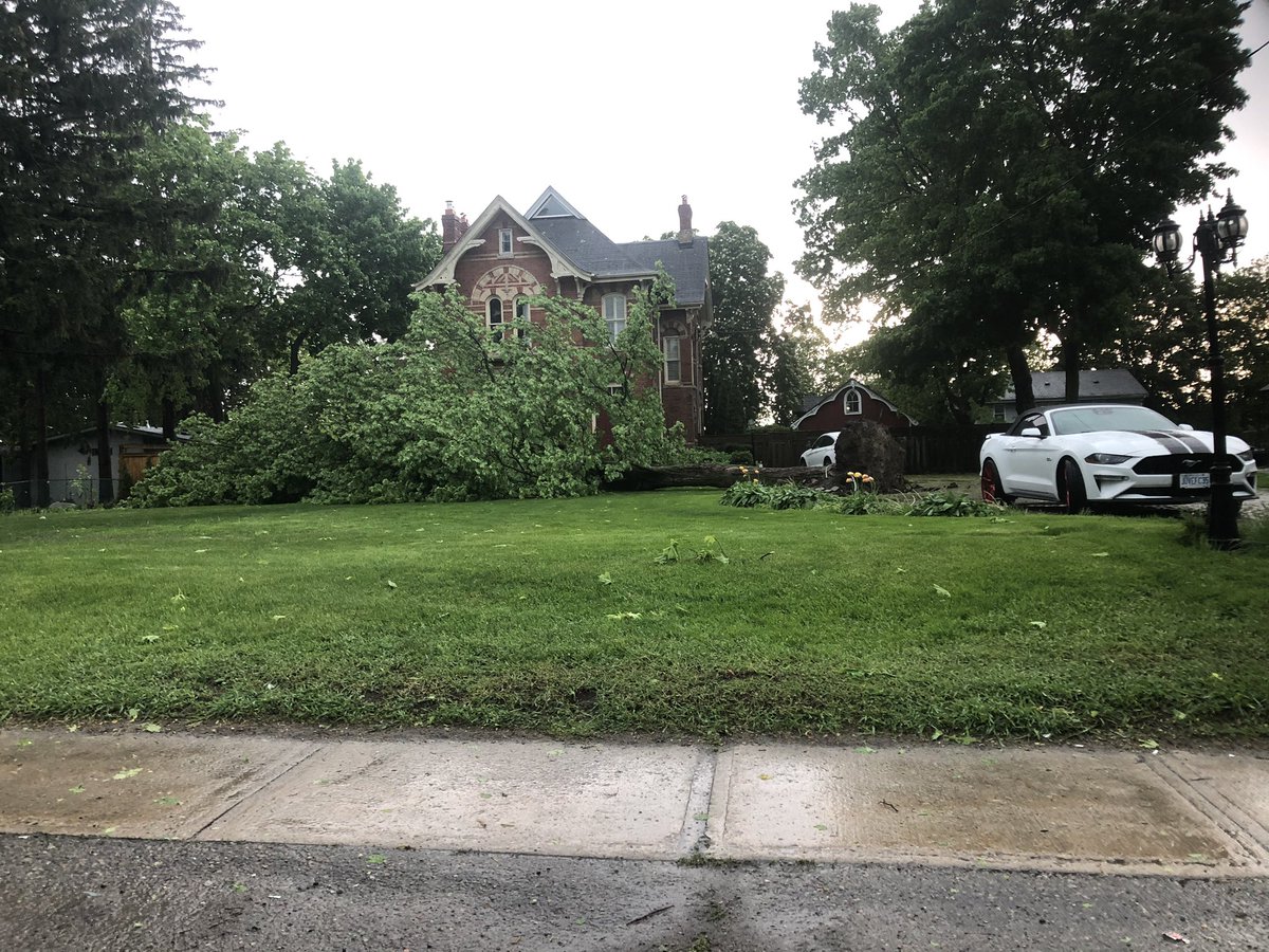 hailpdr's tweet photo. #HappeningNow 1:45 Pm  #onstorm Strong Wind Gusts With this #storm took down Trees and Even Power Lines in #AJAX #Pickering  #gta #durhamregion https://t.co/8lDV9xU6Dl