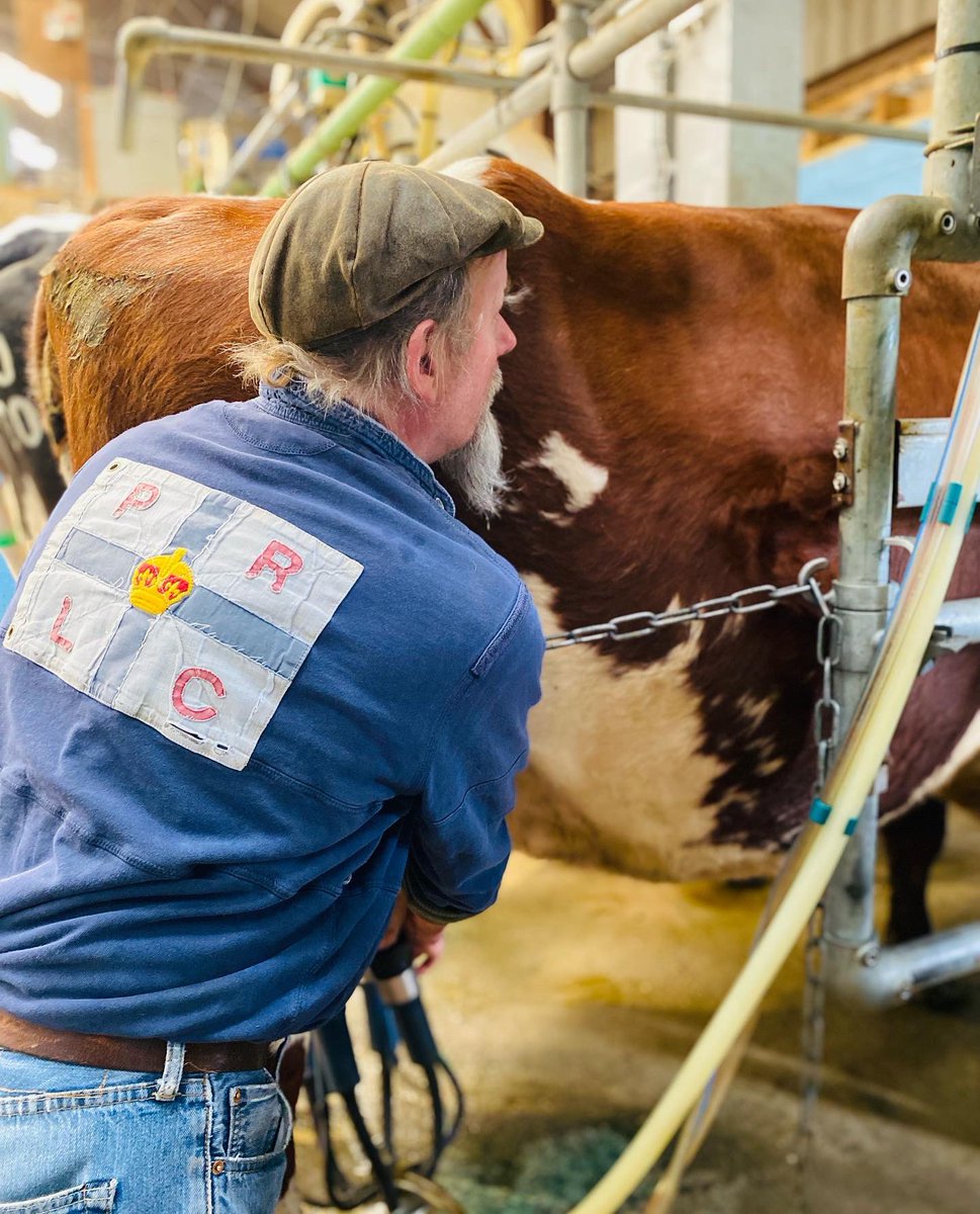 HopewallD's tweet photo. Saturday afternoon milking time 🐂🥛🐂#familyfarm #dairyfarm #milkdelivery #milkinglass #rawmilk #poynton #adlington #bollington #macclesfield #bramhall #pottshrigley #kettleshulme #prestbury #didsbury #cheshire https://t.co/ZnY3GH0YRp