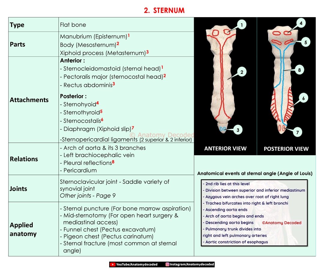 AnatomyDecoded's tweet photo. #Anatomydecoded🎓
Excited to Share Our Anatomy Work on Osteology of Thorax👇🏻
https://t.co/pQLIyudBeF
(Download Full PDF from Google Drive)📚
Do Share with Students 🔄 & Ask them to follow Anatomy Decoded for More..🙏
https://t.co/rTbcOuYCRi
@AnatomyOrg
@ddatta16
@DrPChoradi https://t.co/9FfmjmkZPi