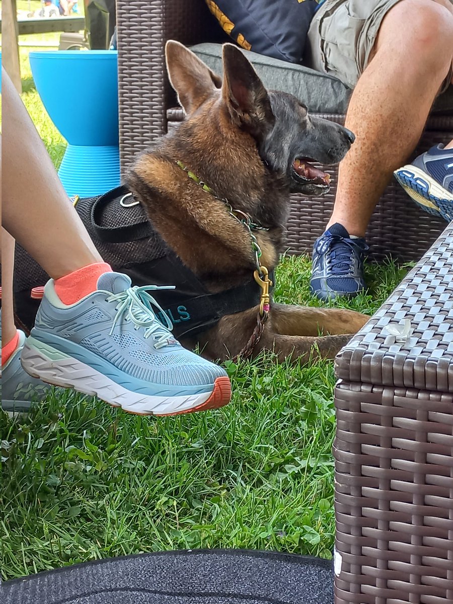 hidingintheburg's tweet photo. This maybe the first festival they've done in Pittsburgh, but @MapleHouseFest is def not their first rodeo. Restrooms with a/c to freshen up this afternoon will save me. #MapleHouseFest
Bonus: 4 legged worker in my sofa quad w/ his person. ๐ถโค https://t.co/UikcWgsCdE