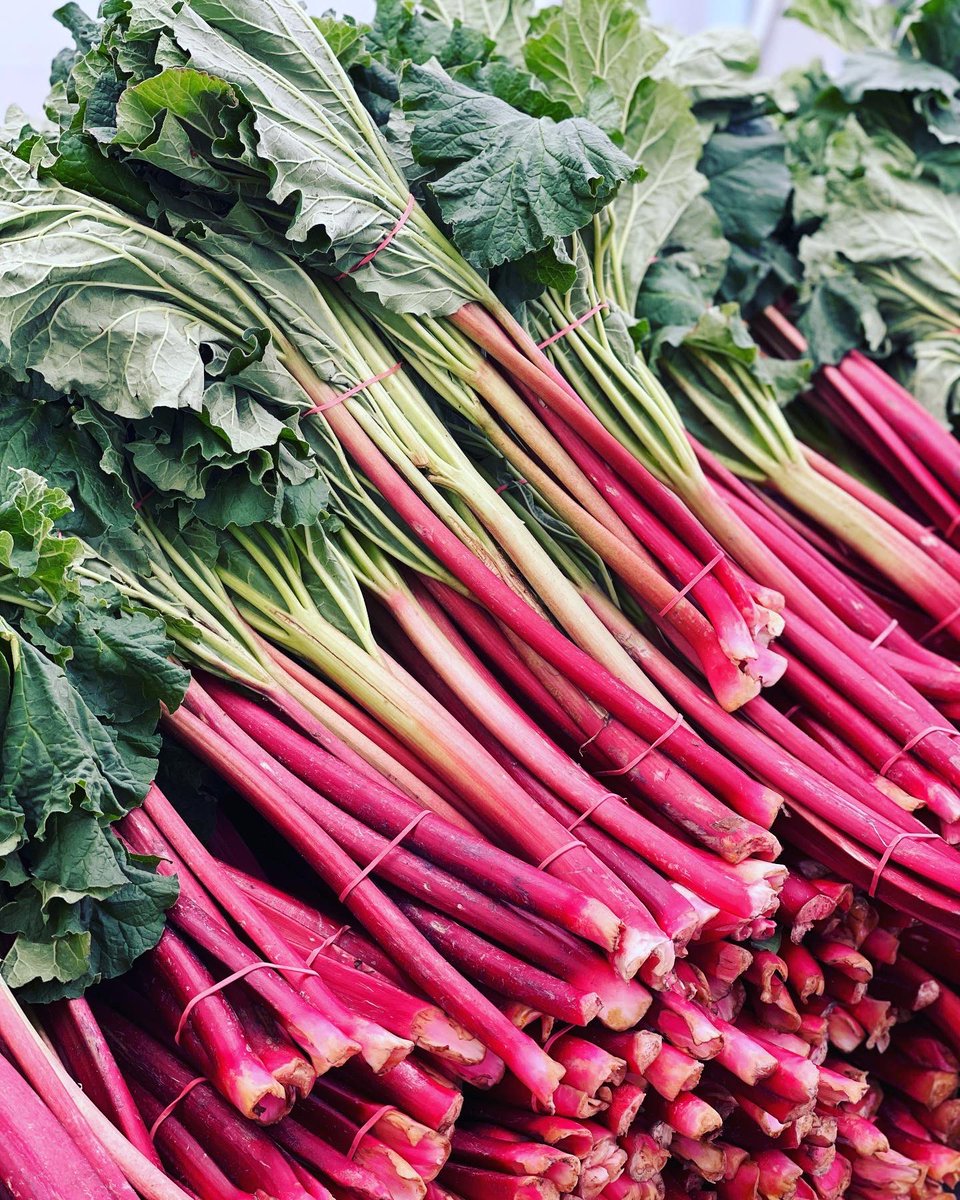 StLawrenceMkt's tweet image. Got the rainy blues? Just remember that we need those showers for incredible spring veggies and flowers, like the ones at the Farmers Market today. Cheers to our farmers and look forward to blue skies ahead #farmersmarket #springveggies #springvegetables