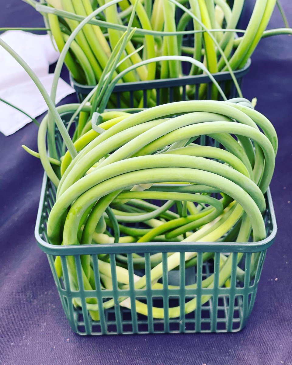StLawrenceMkt's tweet image. Got the rainy blues? Just remember that we need those showers for incredible spring veggies and flowers, like the ones at the Farmers Market today. Cheers to our farmers and look forward to blue skies ahead #farmersmarket #springveggies #springvegetables