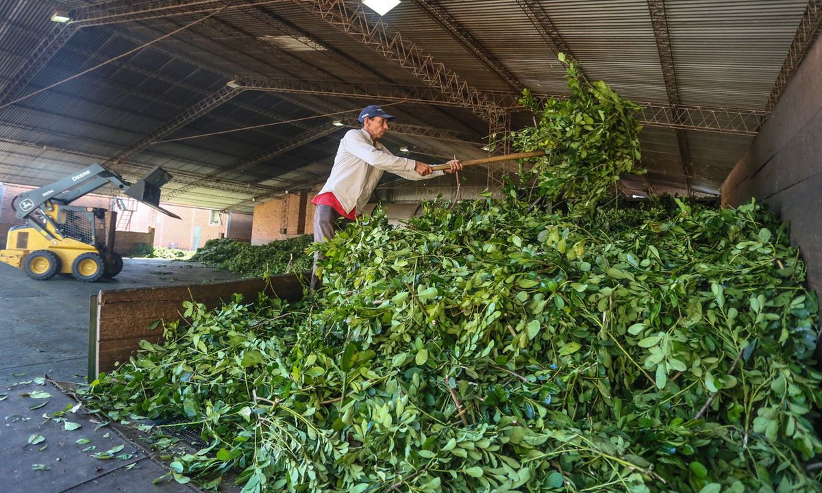 SantiPenap's tweet image. Cuidar a la gente que trabaja como a los amigos de la Yerbatera Aromática será mi prioridad, porque ellos como millones de paraguayos trabajadores son los que mueven nuestro país hacia adelante. ¡Vamos a estar mejor! 🇵🇾