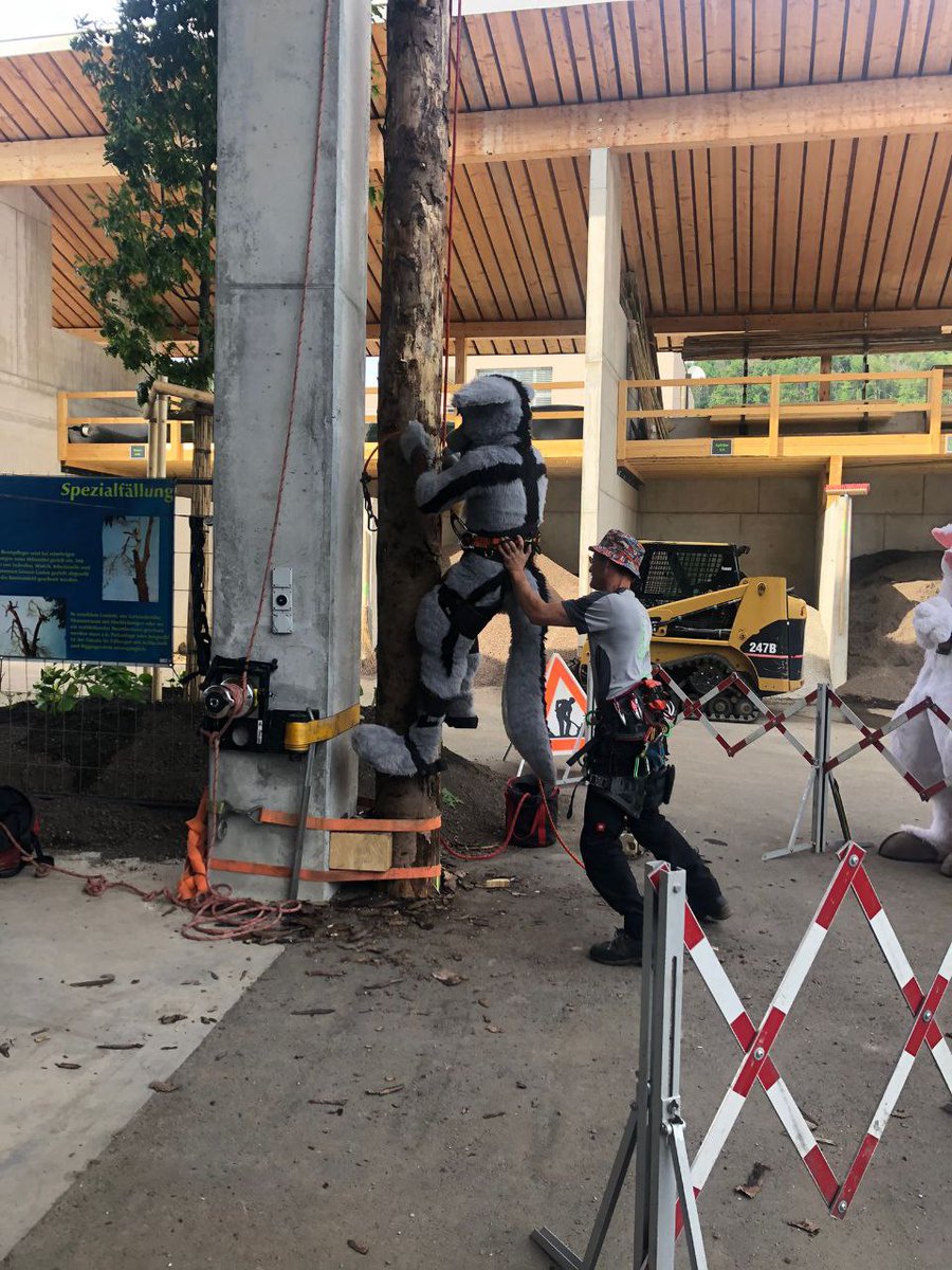 Asraelle X. tweet media