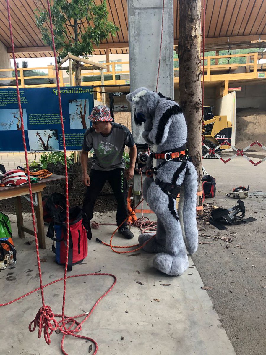 Asraelle X. tweet media