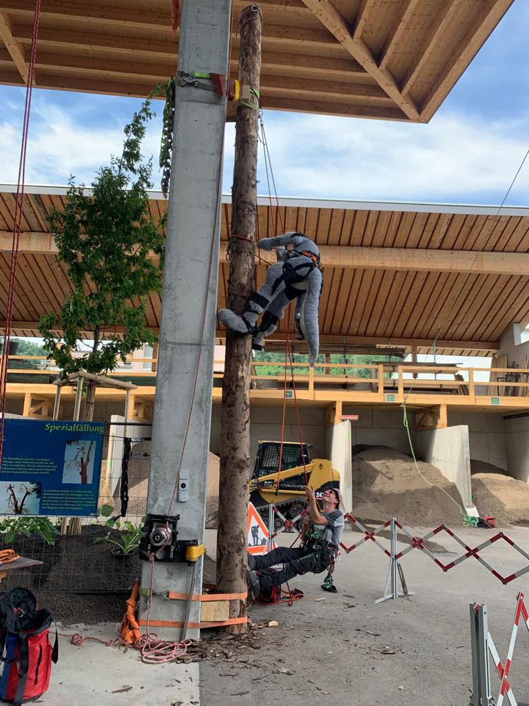 Today was day of open door at a friends workspace. So this dragon thought, why not trying the treeclimbing equipment when its there. It was really heavy to get up that way in suit. But a real ton of fun^^