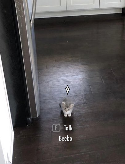 Image prediction: Siberian husky
Confidence: 5.25%