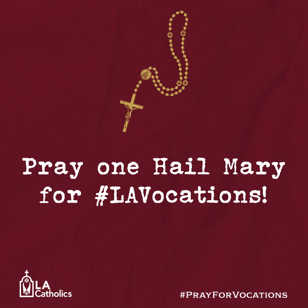 lacatholics's tweet photo. Bless those who are on the long journey of preparation for the priesthood. May they be blessed, through the intercession of Our Lady, with all the graces needed to sustain and strengthen them. #Pray4Vocations #LAVocations https://t.co/njex4BZ4cj