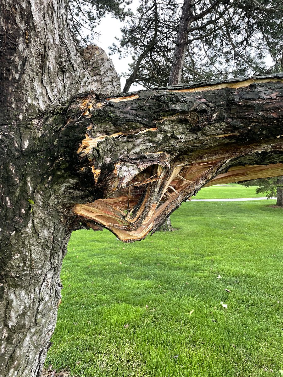 timster2x's tweet photo. Mini-tornado, where on IGC?  #theISpy https://t.co/BRSmB3JWTp