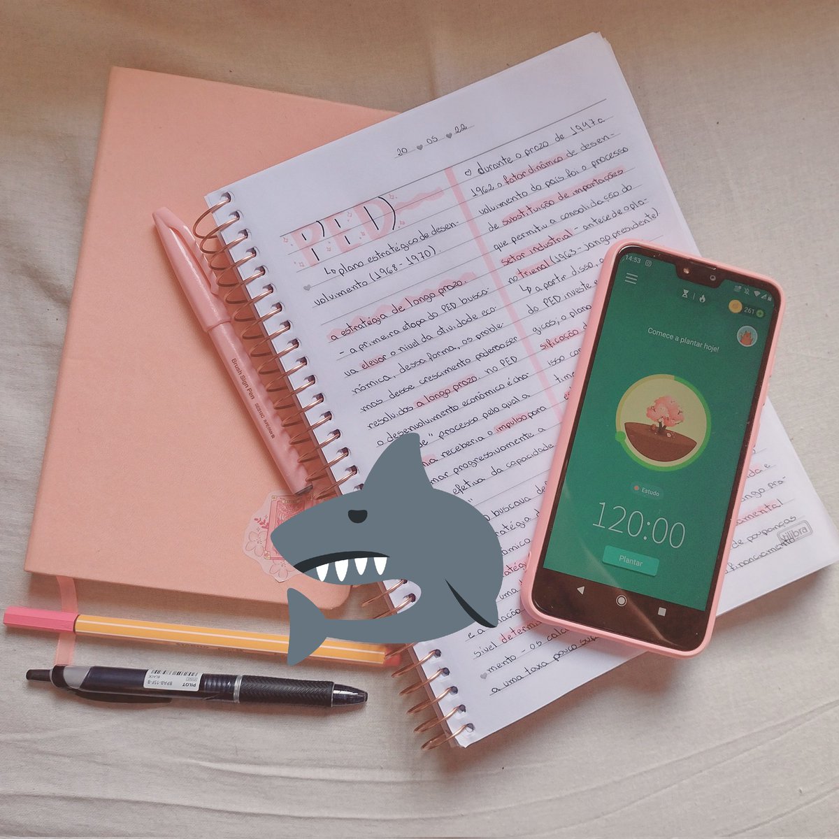 spoiler dos post do insta pq fico mto fofo tô feliz