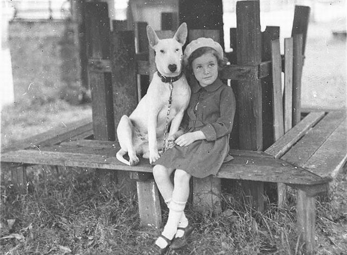 jimrosecircus1's tweet photo. This dog jumped into a river and saved a child from drowning. He became a hero and was showered with treats. The next day he started pushing kids into the river and then rescuing them. Mans best friend will do anything for treats.
As reported by The New York Times - 1908 https://t.co/4SRthS5gY2