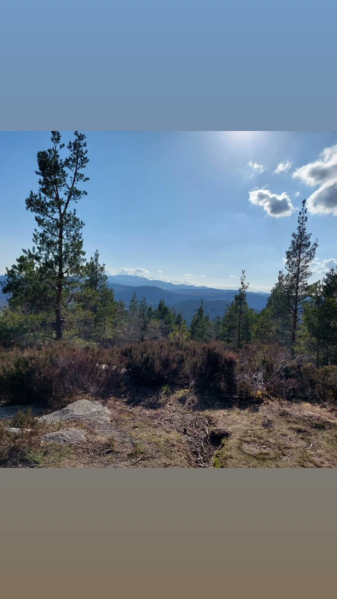 No45GuestHouse1's tweet photo. Craigendarroch Hill https://t.co/h86WppPqRR