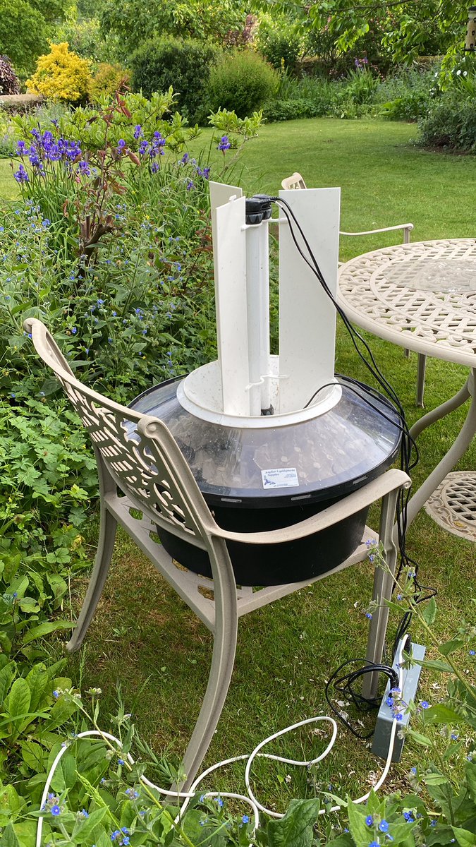 Nature_Guides's tweet photo. Setting trap. I’m going to catch a Striped Hawkmoth right? #MothsMatter https://t.co/9sdcejV6lB