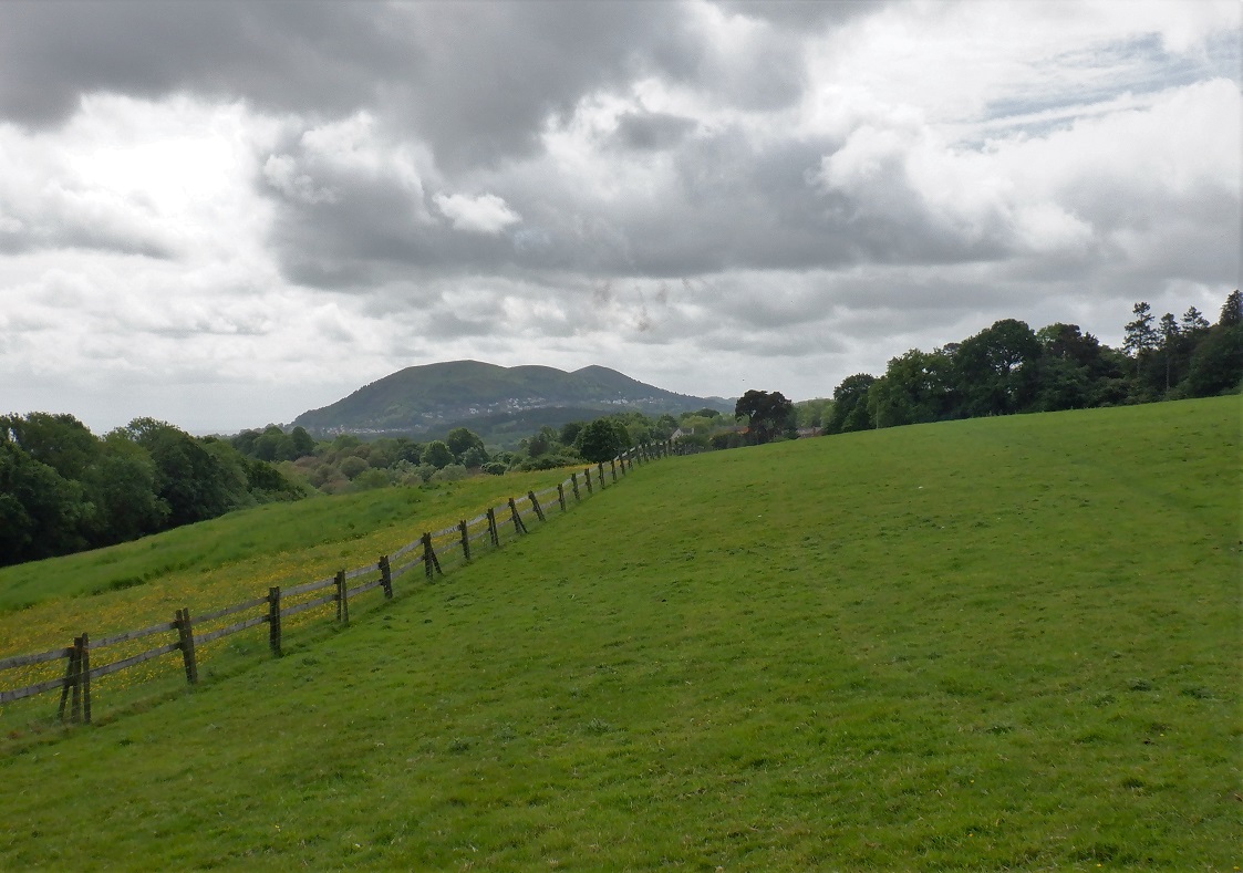 Duncan_Smart1's tweet photo. Sat 21st May 11.7 mile circuit from the Knapp & Papermill Nature Reserve to Old Storridge Common, #GeoparkWay, The Beck, Shuttifield Coppice, #WorcestershireWay, Suckley Hills, River Teme, Lulsley, Folley Farm, Alfrick, Patches Farm YTD 486.9 miles of #walk1000miles https://t.co/PsyLxlyQHf