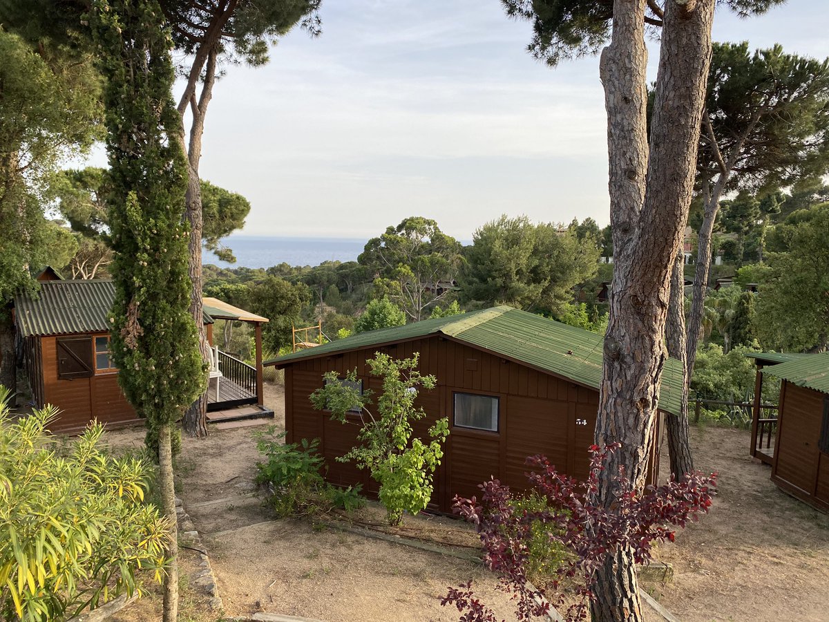 @GIASchoolTrips tweet media