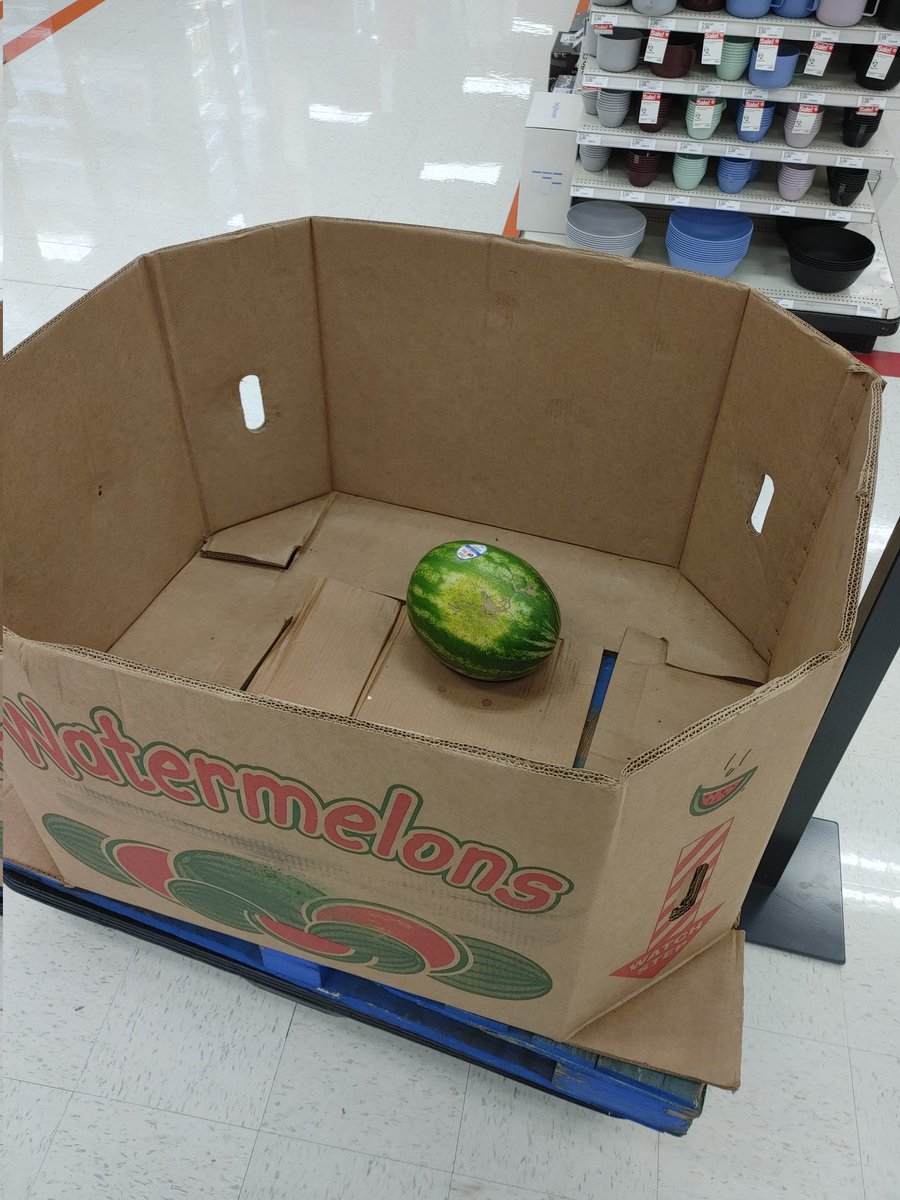 rowe_donald's tweet photo. The last melon
IYKYK
#movie #IceAge https://t.co/etAlWzoEx5