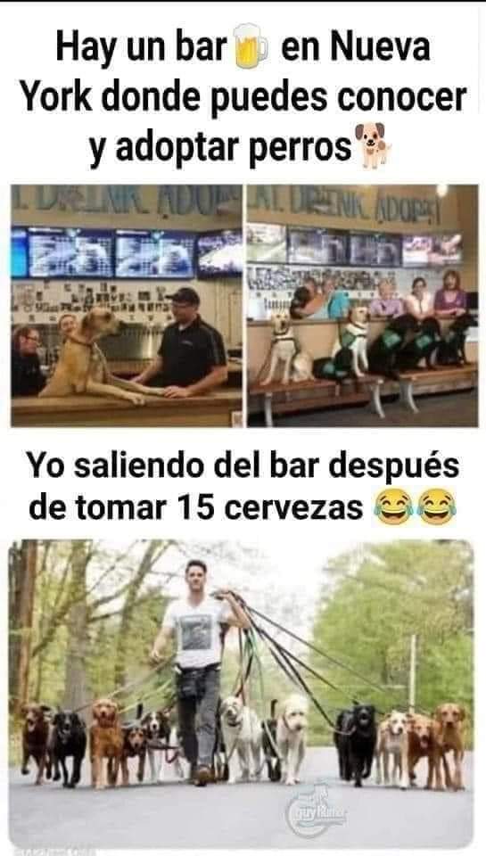 Perrosenlacalle's tweet photo. Yo así 🤣 https://t.co/opdOt1bgZn