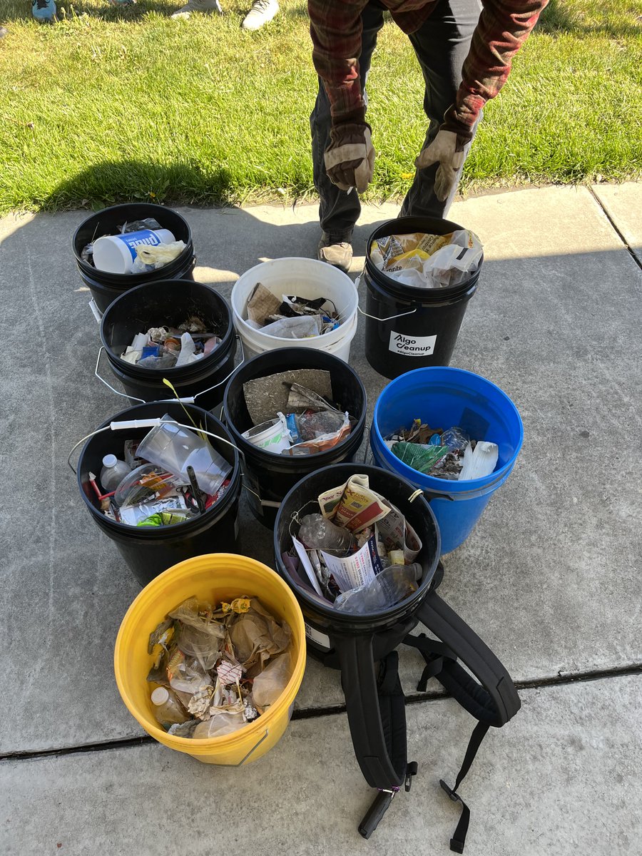 AlgoCleanup.algo tweet media